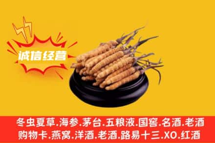 滕州市回收冬虫夏草